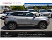2026 Kia Seltos EX (Stk: 26132A) in Ottawa - Image 8 of 22