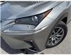 2020 Lexus NX 300 Base (Stk: 19U1006A) in Innisfil - Image 2 of 21