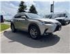 2020 Lexus NX 300 Base (Stk: 19U1006A) in Innisfil - Image 4 of 21