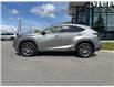 2020 Lexus NX 300 Base (Stk: 19U1006A) in Innisfil - Image 9 of 21