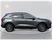 2024 Ford Escape PHEV (Stk: 4S058) in Williams Lake - Image 4 of 12