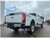 2026 Ford F-350 XLT (Stk: T88129) in Hague - Image 8 of 14