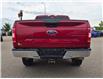 2018 Ford F-150 XLT (Stk: J25113) in Brandon - Image 7 of 21