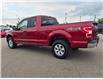 2018 Ford F-150 XLT (Stk: J25113) in Brandon - Image 8 of 21