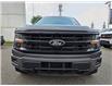 2024 Ford F-150 XLT (Stk: TA-1135A) in Calgary - Image 8 of 15