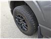 2024 Ford F-150 XLT (Stk: TA-1135A) in Calgary - Image 10 of 15