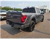 2024 Ford F-150 XLT (Stk: TA-236B) in Calgary - Image 6 of 15