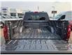 2024 Ford F-150 XLT (Stk: TA-236B) in Calgary - Image 8 of 15