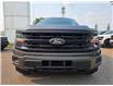 2024 Ford F-150 XLT (Stk: TA-236B) in Calgary - Image 9 of 15