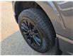 2024 Ford F-150 XLT (Stk: TA-236B) in Calgary - Image 10 of 15