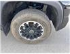 2024 Toyota Tundra  (Stk: T129325A) in Cranbrook - Image 14 of 18