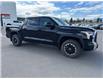 2024 Toyota Tundra  (Stk: T129325A) in Cranbrook - Image 15 of 18