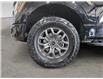 2025 Ford F-150 Tremor (Stk: A4619) in Wyoming - Image 9 of 15