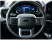 2026 Ford F-150 XLT (Stk: F62414) in GEORGETOWN - Image 21 of 25