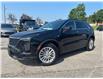 2024 Cadillac XT4 Luxury (Stk: U9226A) in Uxbridge - Image 1 of 10