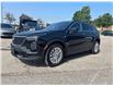 2024 Cadillac XT4 Luxury (Stk: U9226A) in Uxbridge - Image 3 of 10