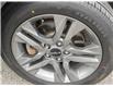 2022 Kia Seltos EX in Ottawa - Image 11 of 20
