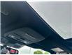 2026 Ford F-150 Lariat (Stk: AFL260459) in Hamilton - Image 16 of 20