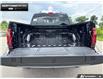 2026 Ford F-150 Tremor (Stk: 6F145857) in Brantford - Image 12 of 25