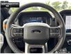 2026 Ford F-150 Tremor (Stk: 6F145857) in Brantford - Image 14 of 25