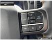 2026 Ford F-150 Tremor (Stk: 6F145857) in Brantford - Image 16 of 25