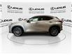 2025 Lexus NX 350  (Stk: 14U7702) in Markham - Image 5 of 27