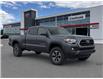 2017 Toyota Tacoma  (Stk: X140182A) in Cranbrook - Image 2 of 20