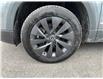 2024 Volkswagen Taos Comfortline (Stk: 260832) in Ottawa - Image 4 of 34