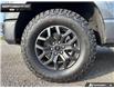 2026 Ford F-150 Tremor (Stk: 6F139947) in Brantford - Image 6 of 24