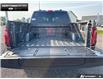 2026 Ford F-150 Tremor (Stk: 6F139947) in Brantford - Image 11 of 24
