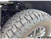 2026 Ford F-150 Tremor (Stk: 6F148404) in Brantford - Image 7 of 25