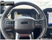 2026 Ford F-150 Tremor (Stk: 6F148404) in Brantford - Image 14 of 25