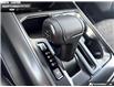 2026 Ford F-150 Tremor (Stk: 6F148404) in Brantford - Image 18 of 25