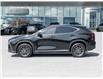 2024 Lexus NX 350  (Stk: 15105984A) in Richmond Hill - Image 4 of 28