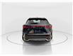 2026 Lexus NX 350  (Stk: 14112993) in Markham - Image 6 of 8