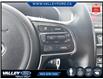 2018 Kia Optima (Stk: 26P085) in Kentville - Image 18 of 19 2018 Kia Optima (Stk: 26P085) in Kentville - Image 18 of 19