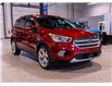 2019 Ford Escape Titanium (Stk: RE69381) in Calgary - Image 3 of 24