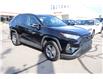 2025 Toyota RAV4 XLE (Stk: 22U4037) in Mississauga - Image 7 of 29