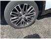 2024 Jeep Compass Limited (Stk: UV8567) in Elmira - Image 9 of 21