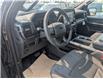 2024 Ford F-150 STX (Stk: 19585) in Calgary - Image 2 of 25