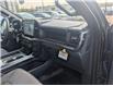 2024 Ford F-150 STX (Stk: 19585) in Calgary - Image 13 of 25