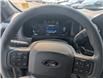 2024 Ford F-150 STX (Stk: 19585) in Calgary - Image 24 of 25
