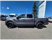 2024 Ford F-150 STX (Stk: TA-389A) in Calgary - Image 5 of 15