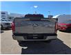 2024 Ford F-150 STX (Stk: TA-389A) in Calgary - Image 7 of 15