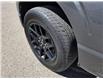 2024 Ford F-150 STX (Stk: TA-389A) in Calgary - Image 10 of 15
