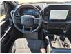 2024 Ford F-150 STX (Stk: TA-389A) in Calgary - Image 11 of 15