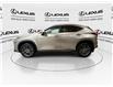 2024 Lexus NX 350h  (Stk: 14U7690) in Markham - Image 5 of 27