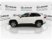 2025 Toyota RAV4 Hybrid  (Stk: 14U7732) in Markham - Image 5 of 25