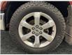 2015 Ford F-150 Lariat (Stk: S9683B) in ROSETOWN - Image 17 of 17
