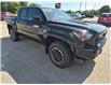 2026 Toyota Tacoma Base (Stk: 3824) in Sarnia - Image 2 of 7